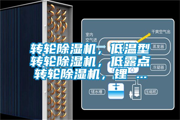 轉(zhuǎn)輪除濕機(jī)，低溫型轉(zhuǎn)輪除濕機(jī)，低露點(diǎn)轉(zhuǎn)輪除濕機(jī)，鋰 ...