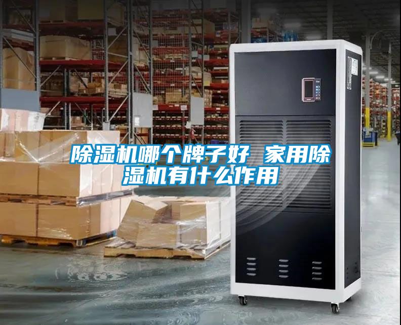 除濕機哪個牌子好 家用除濕機有什么作用