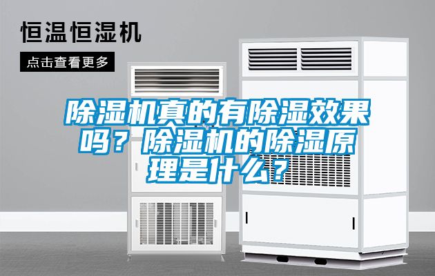 除濕機(jī)真的有除濕效果嗎？除濕機(jī)的除濕原理是什么？