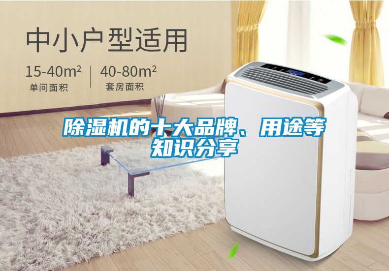 除濕機(jī)的十大品牌、用途等知識分享