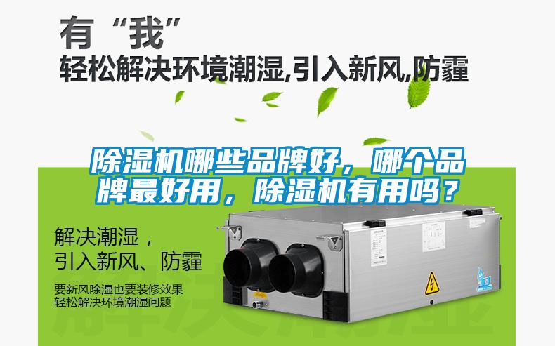 除濕機哪些品牌好，哪個品牌最好用，除濕機有用嗎？