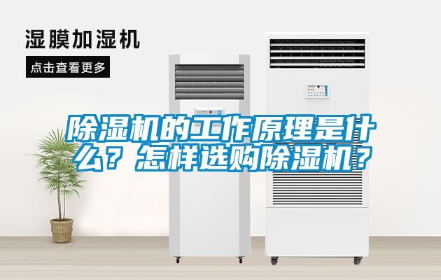 除濕機(jī)的工作原理是什么？怎樣選購(gòu)除濕機(jī)？