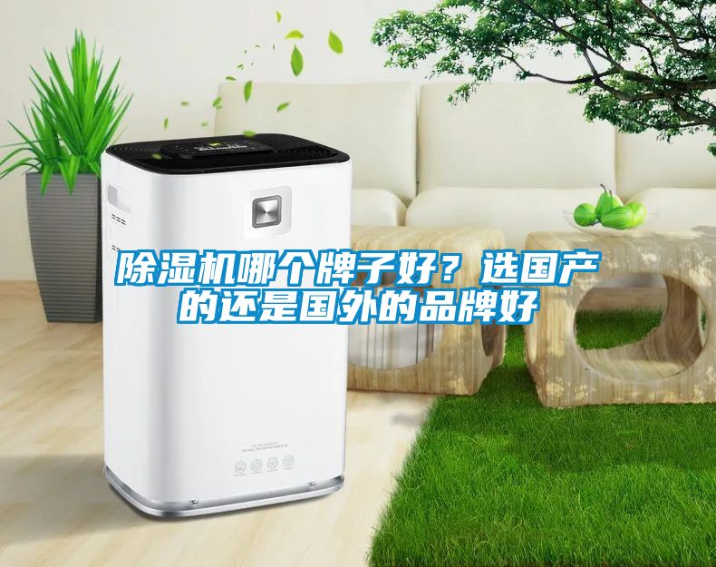 除濕機(jī)哪個(gè)牌子好？選國(guó)產(chǎn)的還是國(guó)外的品牌好