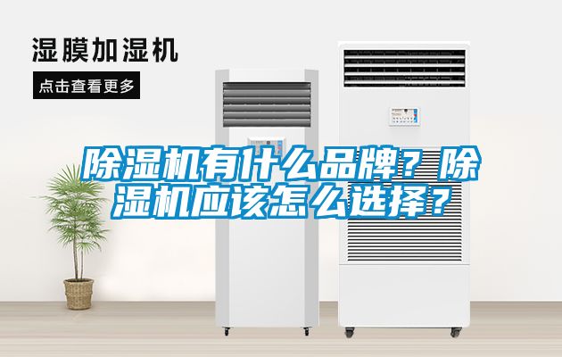 除濕機(jī)有什么品牌？除濕機(jī)應(yīng)該怎么選擇？