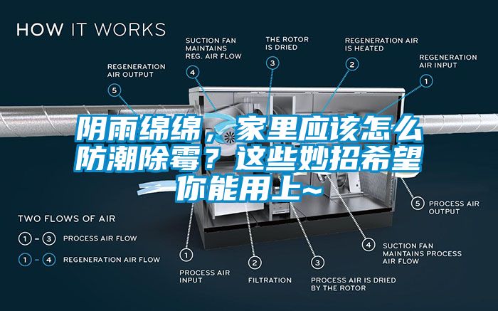 陰雨綿綿，家里應(yīng)該怎么防潮除霉？這些妙招希望你能用上~