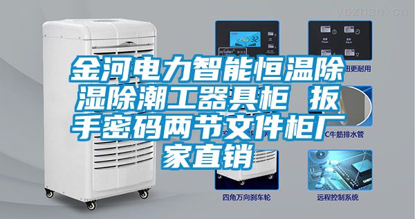 金河電力智能恒溫除濕除潮工器具柜 扳手密碼兩節(jié)文件柜廠家直銷(xiāo)