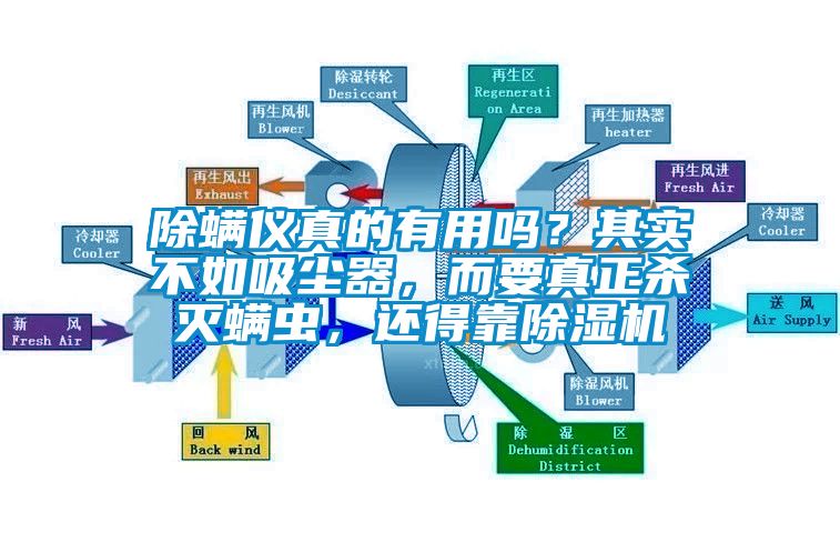 除螨儀真的有用嗎？其實不如吸塵器，而要真正殺滅螨蟲，還得靠除濕機(jī)